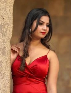 call girl service in Homnabad